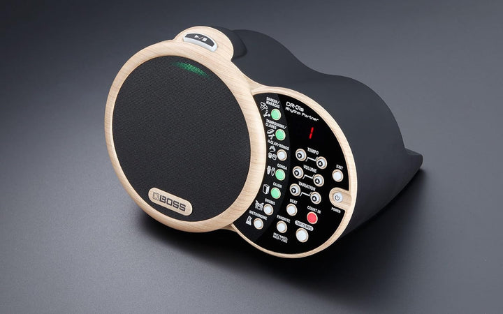 BOSS DR-01S Rhythm Partner für akustische Musiker – Begleiter für akustische Gitarre und Vocals & BO