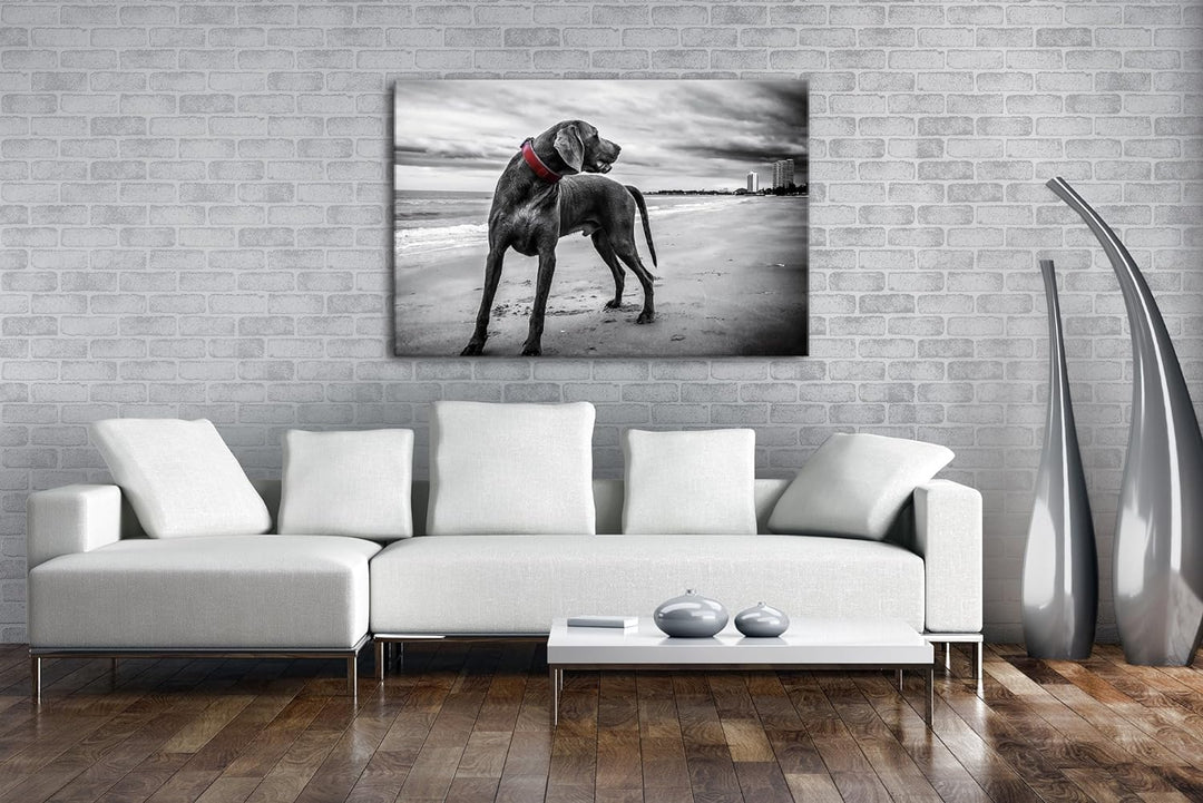 deyoli grosser Hund am Strand Format: 80x60 als Leinwandbild, Motiv fertig gerahmt auf Echtholzrahme