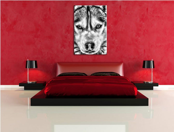 Monocrome, Husky, Format: 100x70 auf Leinwand, XXL riesige Bilder fertig gerahmt mit Keilrahmen, Kun