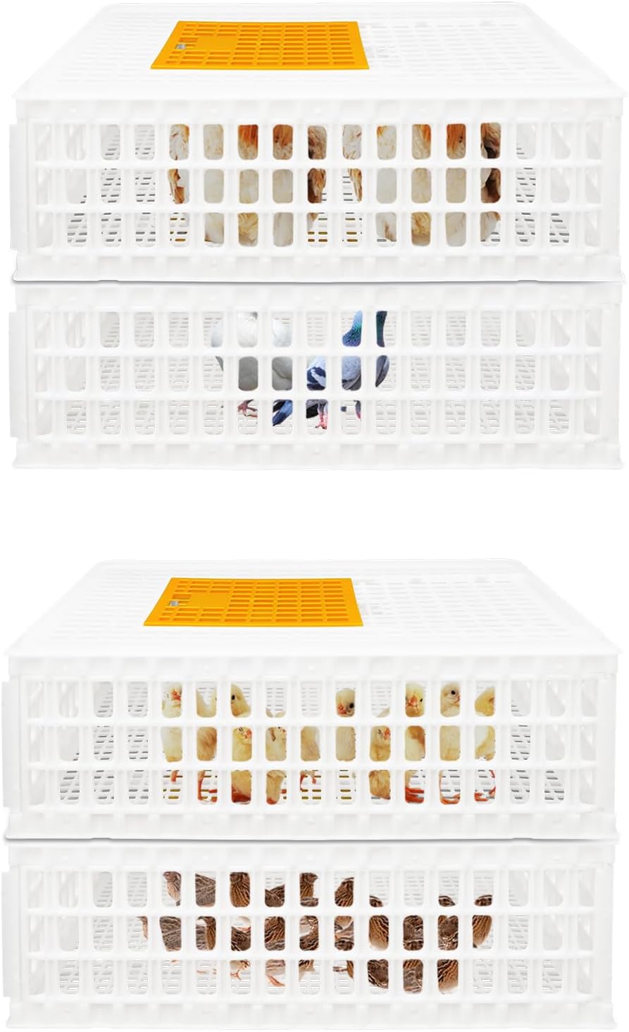 4 Stück Geflügel Tragetasche, Huhn-Transportkäfig mit Schiebetür und Transportgriffen, Korb Box für