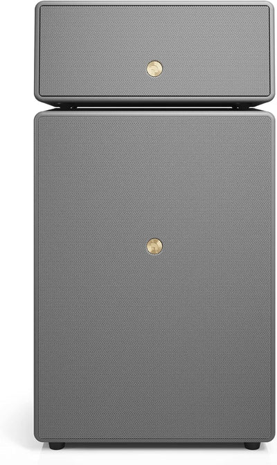 Audio Pro Drumfire II - Kraftvoller WiFi Multiroom Speaker - Kabellos mit Bluetooth –Tragbarer Lauts
