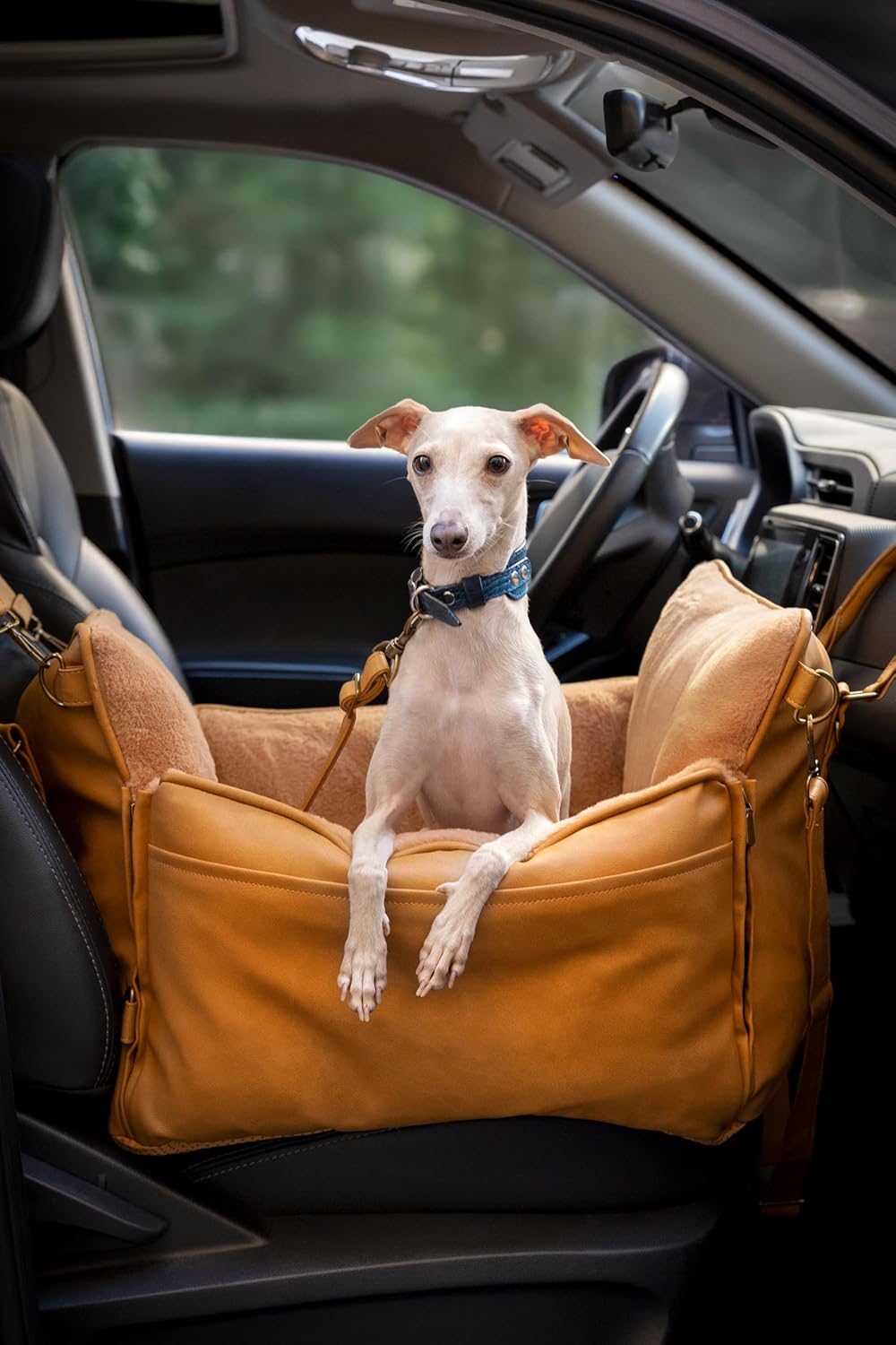 Noah & Paw Siège Auto für Hund, siège klein Hund und Tiere klein à mittel Grösse mit Clip harnais, S