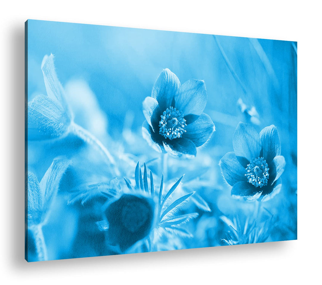 deyoli bezaubernde Blumen Format 80x60 Effekt: Monocrome Blau als Leinwandbild, Motiv fertig gerahmt