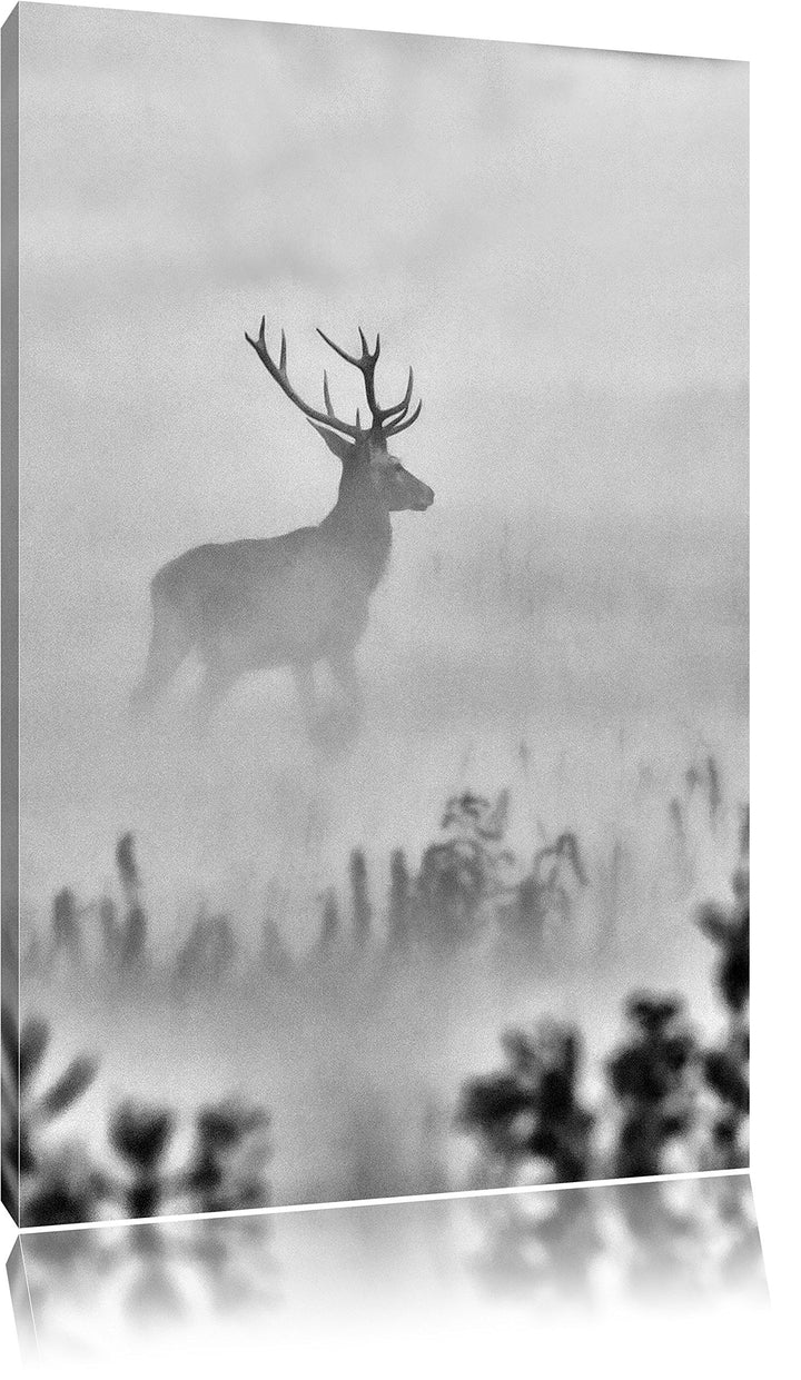 Pixxprint Monocrome, Hirsch im Nebel, Format: 100x70 auf Leinwand, 100x70