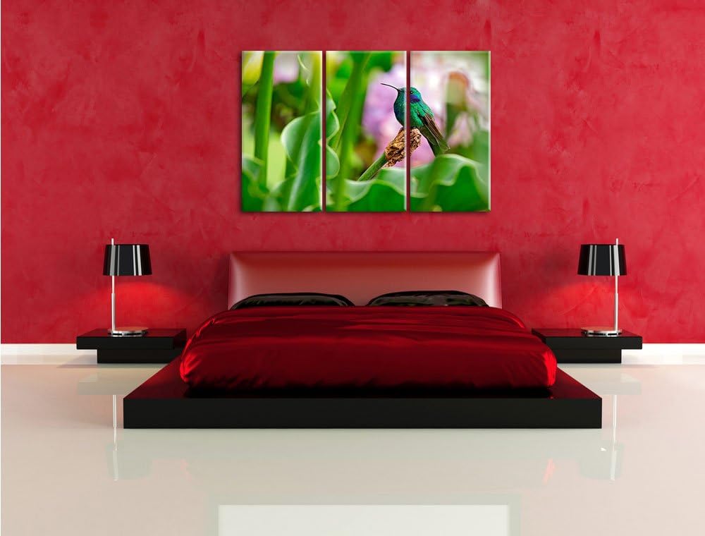 Pixxprint Kolibri in seinem Lebensraum als Leinwandbild/Grösse: 3 Teilig (120x80) / Wandbild/Kunstdr