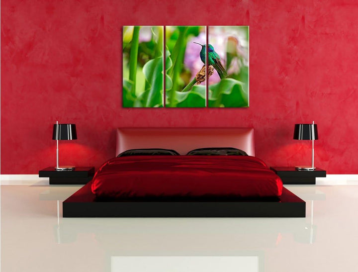 Pixxprint Kolibri in seinem Lebensraum als Leinwandbild/Grösse: 3 Teilig (120x80) / Wandbild/Kunstdr