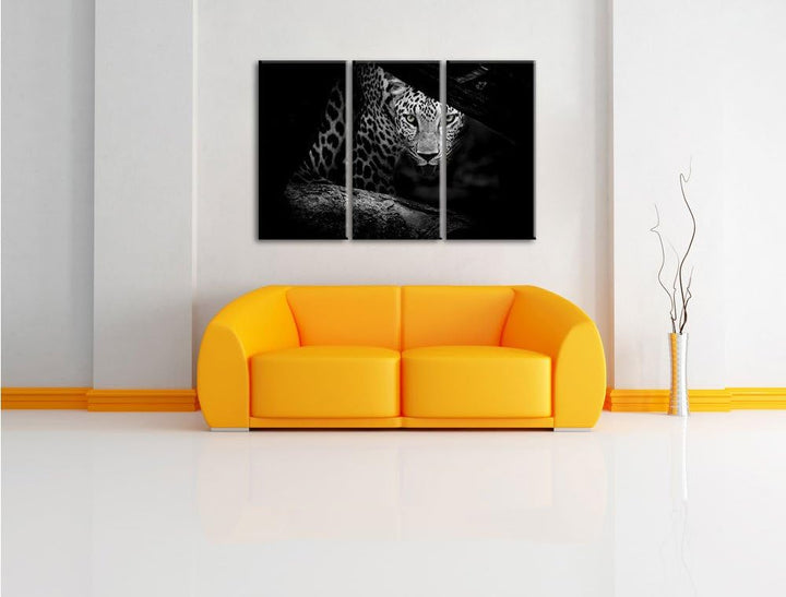 Pixxprint Neugieriger Gepard als Leinwandbild/Grösse: 3 Teilig (120x80) cm/Wandbild/Kunstdruck/ferti