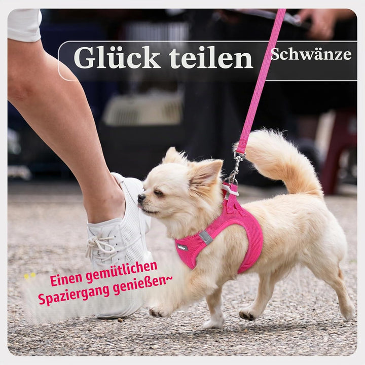 rabbitgoo Hundegeschirr Kleine Hunde mit Leine, Step-in Welpengeschirr Weich Mesh für Spaziergänge,