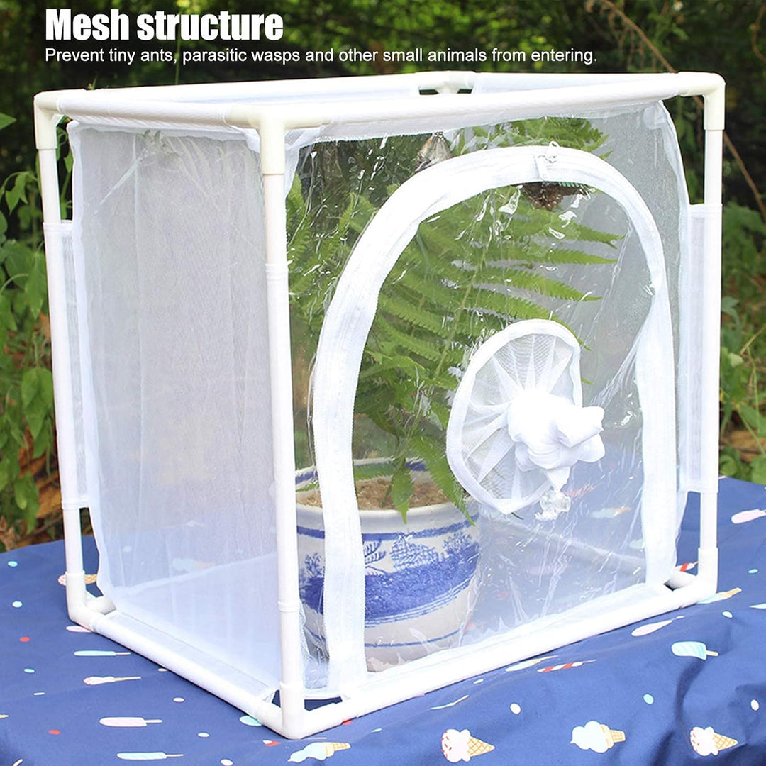 Insekten-Netzkäfig Gewächshaus Wiederverwendbare zusammenklappbare Mini-Pflanzenschmetterlinge Brutk