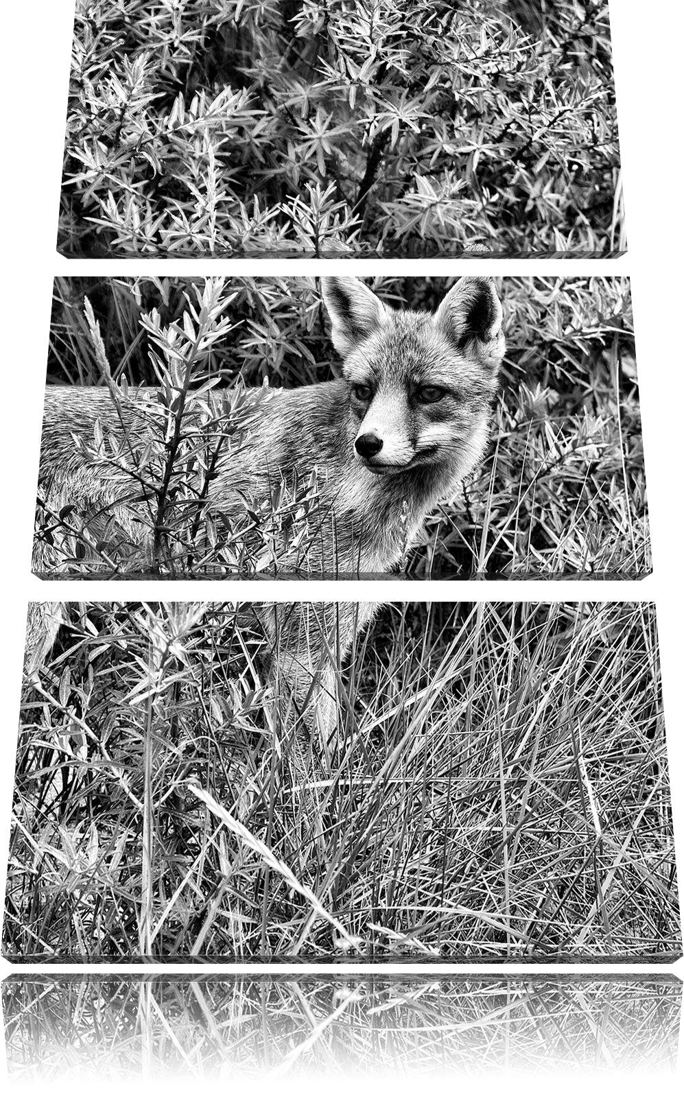 Pixxprint Monocrome, listiger Fuchs im Wildstrauch 3-Teiler Leinwandbild 120x80 Bild auf Leinwand