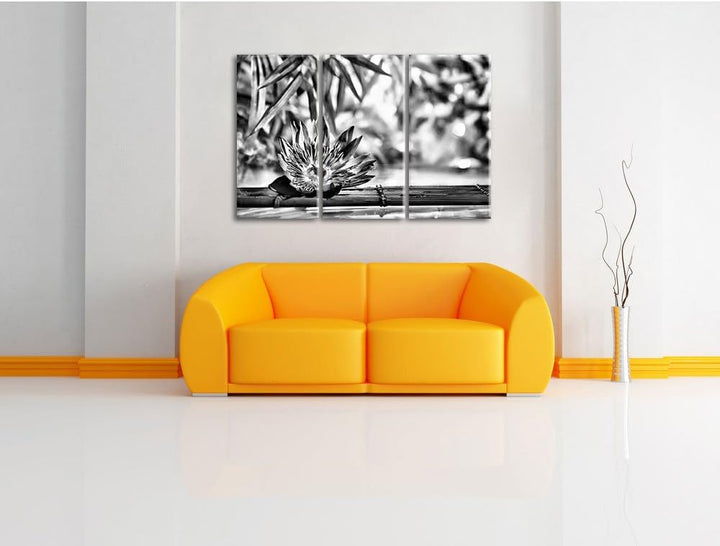 Pixxprint Seerose auf Bambus Wellness als Leinwandbild/Grösse: 3 Teilig (120x80) cm/Wandbild/Kunstdr
