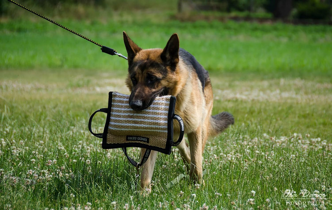 Dingo Gear Beisskissen aus Jute Keilform Medium Extra Ausbildung IGP IPO K9 Hundetraining S00519 Jut