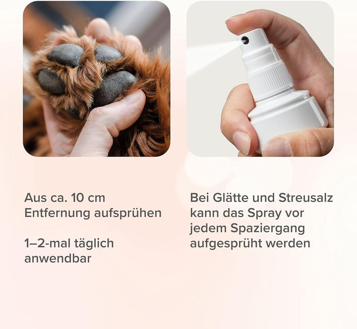 beaphar - Pfoten-Pflege Spray Für Hunde - Schützt Vor EIS, Schnee, Streusalz - Mit Propolis, Glyceri