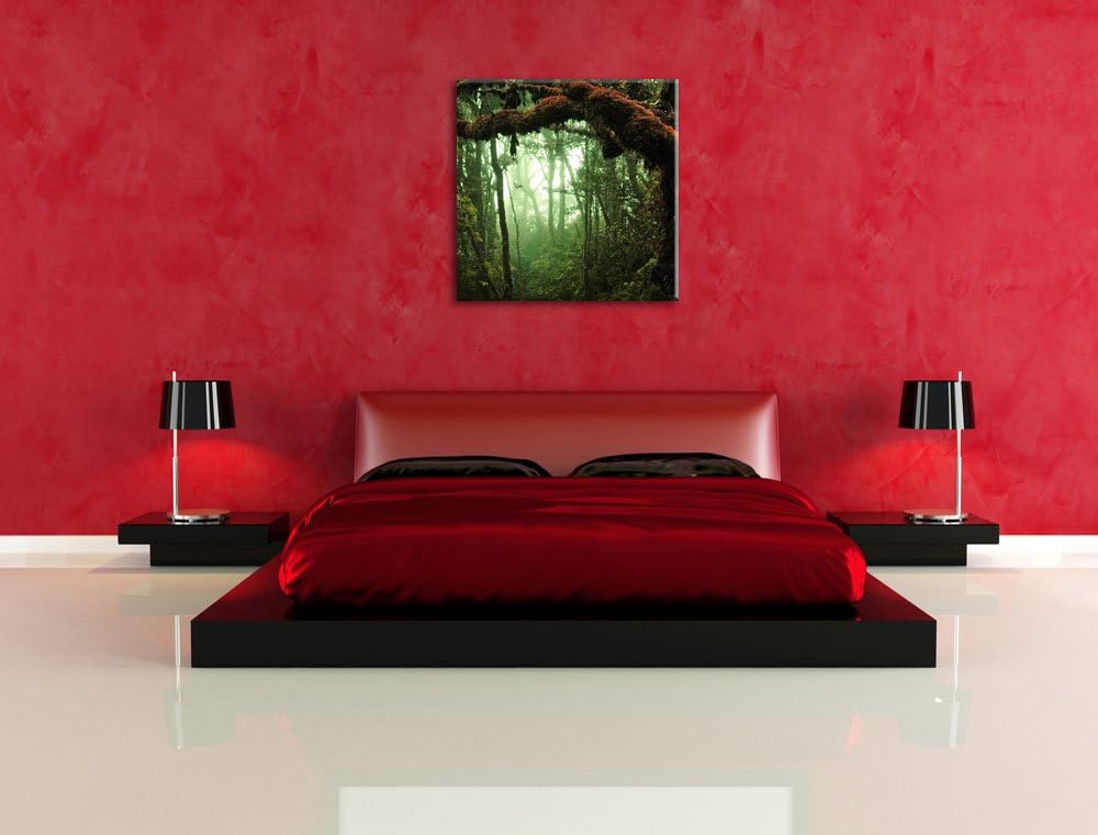 Geheimnisvoller Regenwald, Format: 70x70 auf Leinwand, XXL riesige Bilder fertig gerahmt mit Keilrah