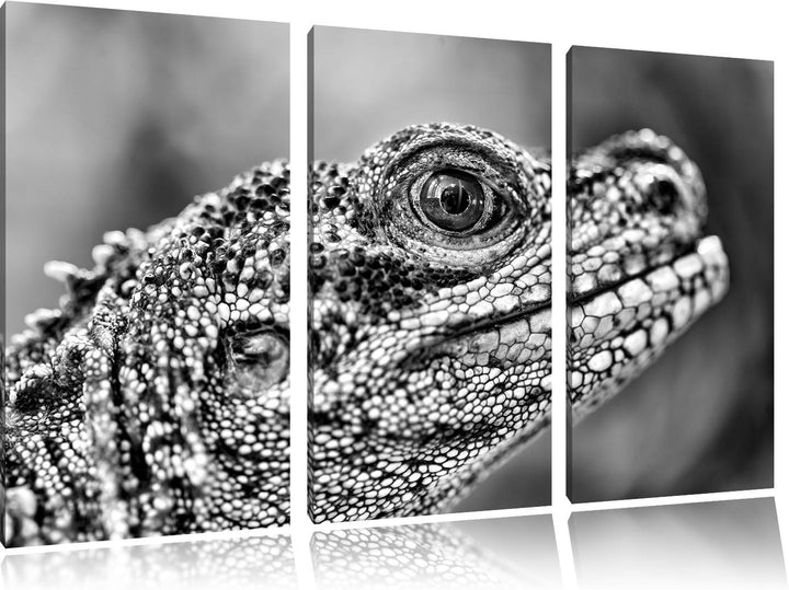 Pixxprint grosser Schuppenwaran als Leinwandbild/Grösse: 3 Teilig (120x80) cm/Wandbild/Kunstdruck/fe