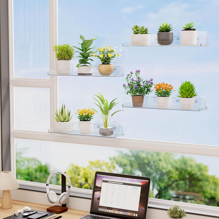 Lifewit Fenster Pflanzenregale, 4 Stück, 38cm, Transparent Regal Saugnapf, Fensterwand-Pflanzenständ