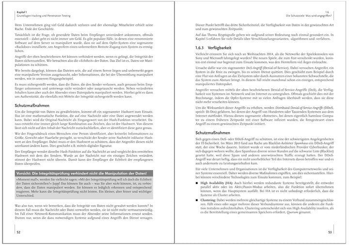 Hacking: Der umfassende Praxis-Guide. Inkl. Prüfungsvorbereitung zum CEHv12, 3., aktualisierte Aufla