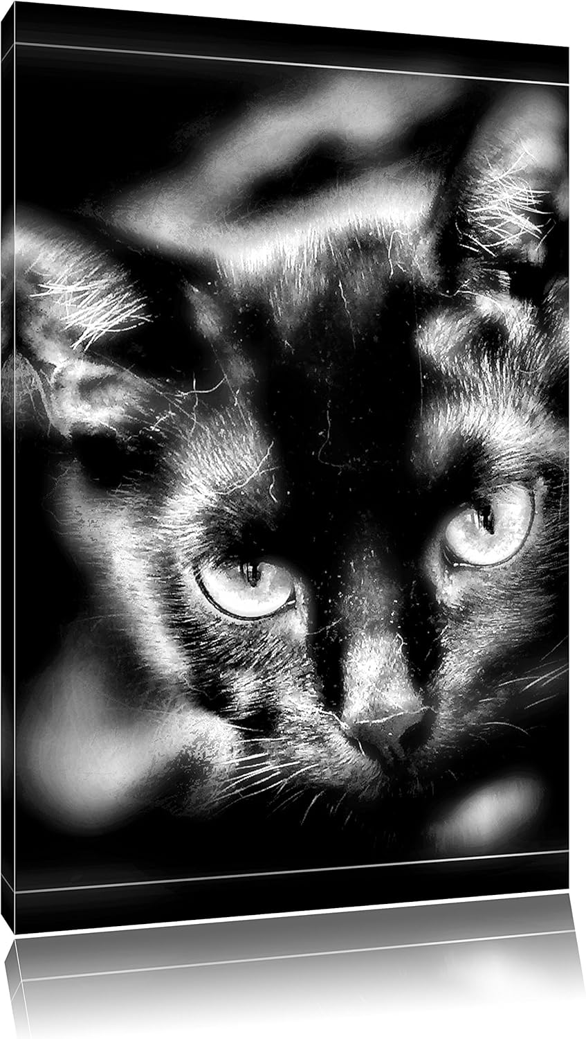 Pixxprint schöne Schwarze Katze als Leinwandbild/Grösse: 100x70 cm/Wandbild/Kunstdruck/fertig bespan