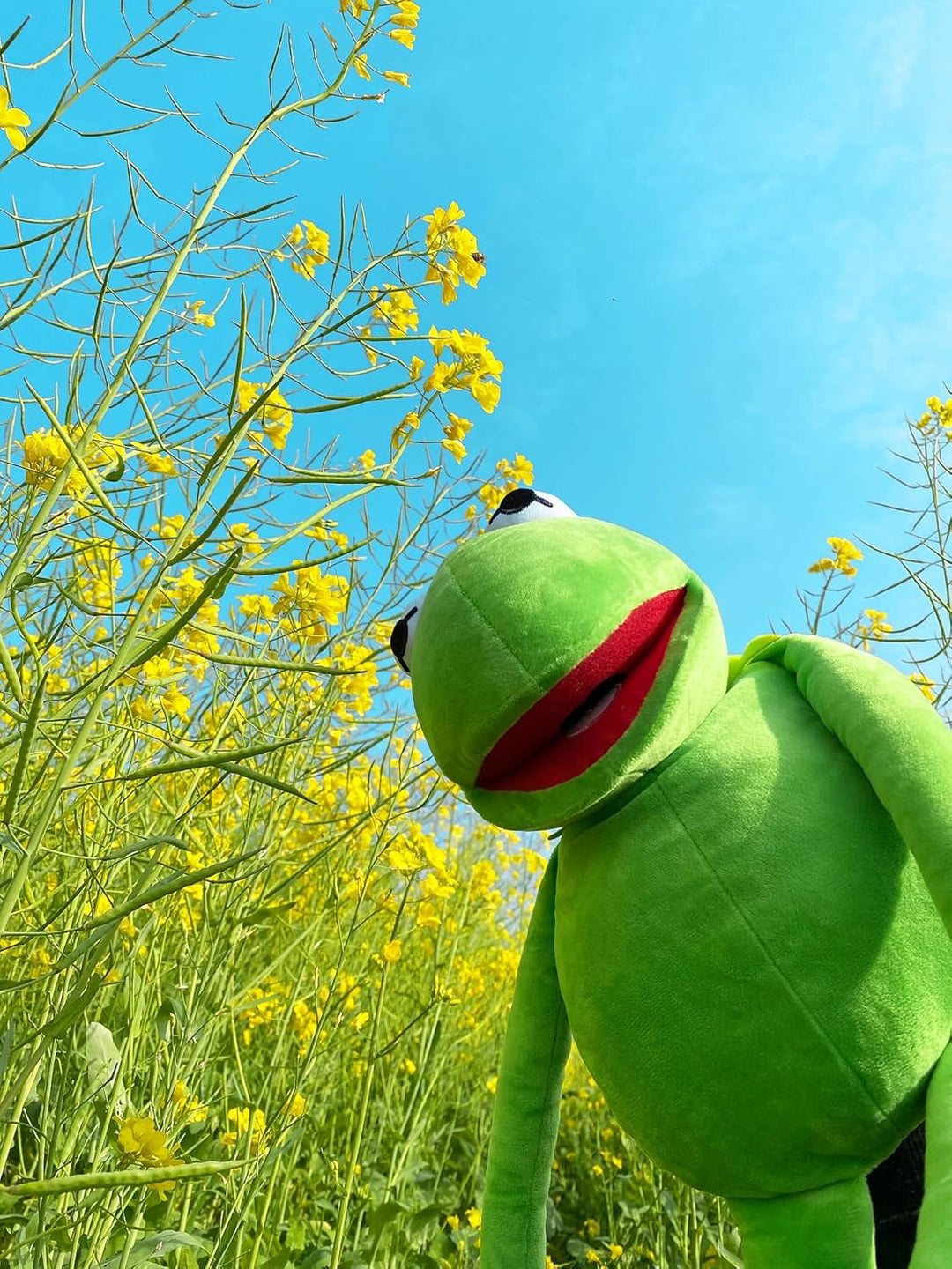 Kermit Froschpuppe, The Muppets Show, weiches Handfrosch, gefülltes Plüschtier, Geschenkideen für Ju