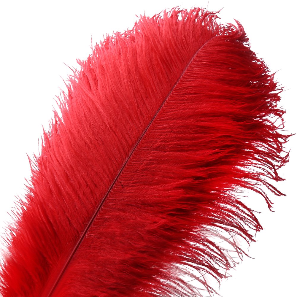10 stücke Natürliche Straussenfedern Handwerk 16-18 Zoll (40-45 cm) Plume für Hochzeit Mittelstücke