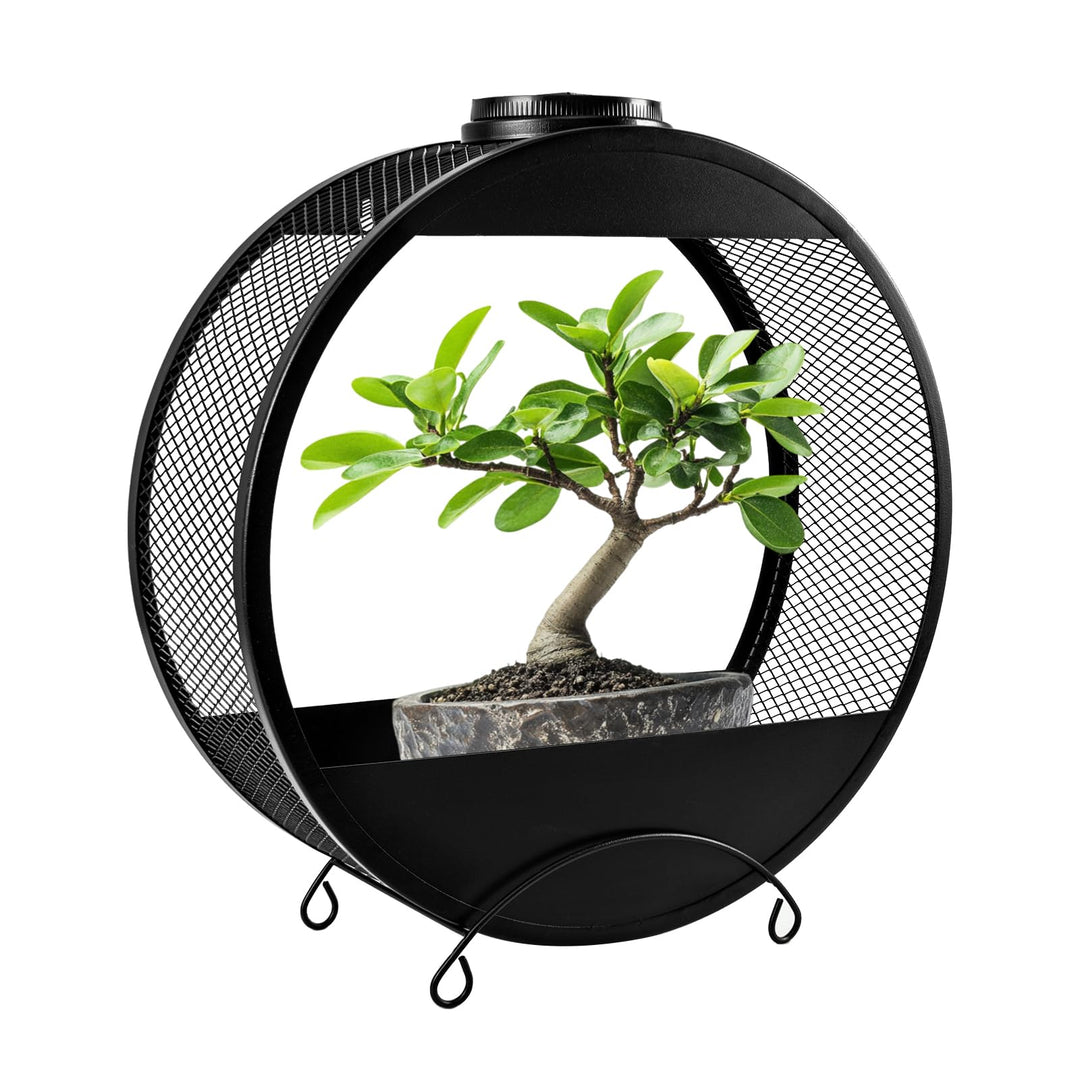 CNAPXAIA Solar-Pflanzenständer mit LED-Leuchten – Wandmontiertes Metallregal Gartendekor für Pflanze