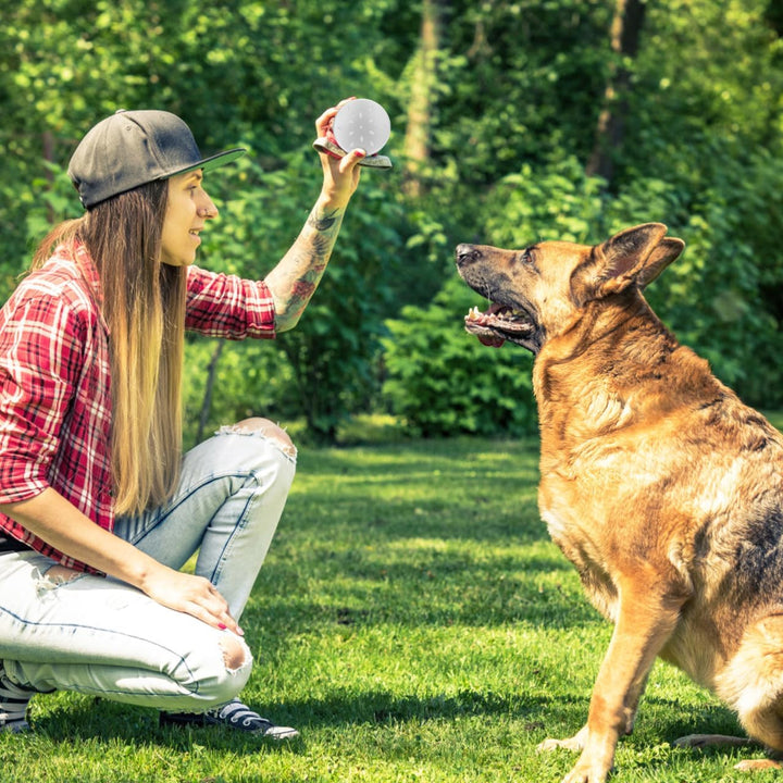 Angoily 10 Stück geruchsdosen für Hunde schnüffeldosen Hundeduft-Trainingsbox Training Hundeduft Nas