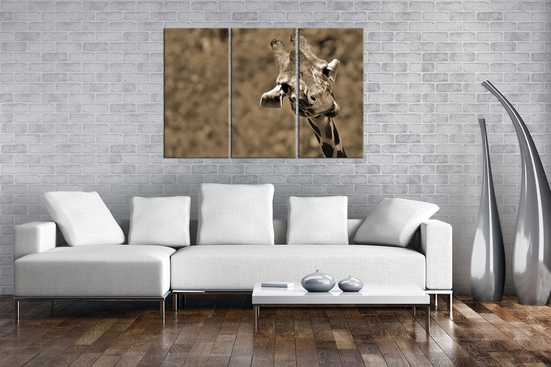deyoli lustige Giraffe Format: 120x80 cm (3Teilig) Effekt: Sepia als Leinwandbild, Motiv fertig gera