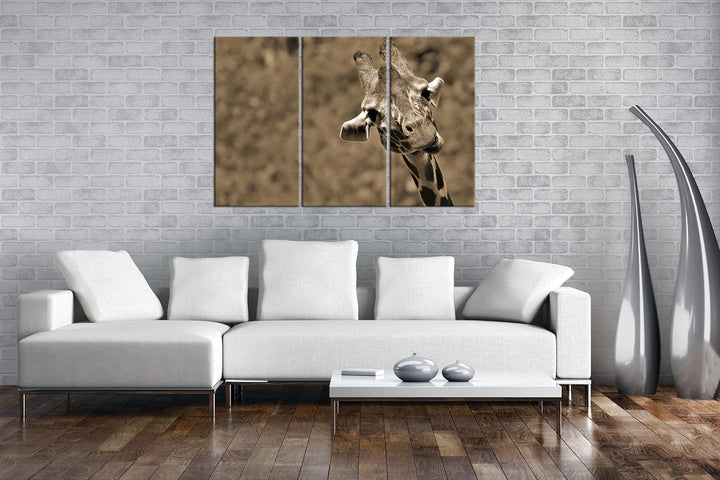 deyoli lustige Giraffe Format: 120x80 cm (3Teilig) Effekt: Sepia als Leinwandbild, Motiv fertig gera