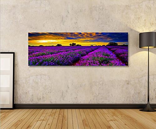 islandburner Bild Bilder auf Leinwand Lavendelfeld V4 Lavendel Provence Panorama XXL Poster Leinwand