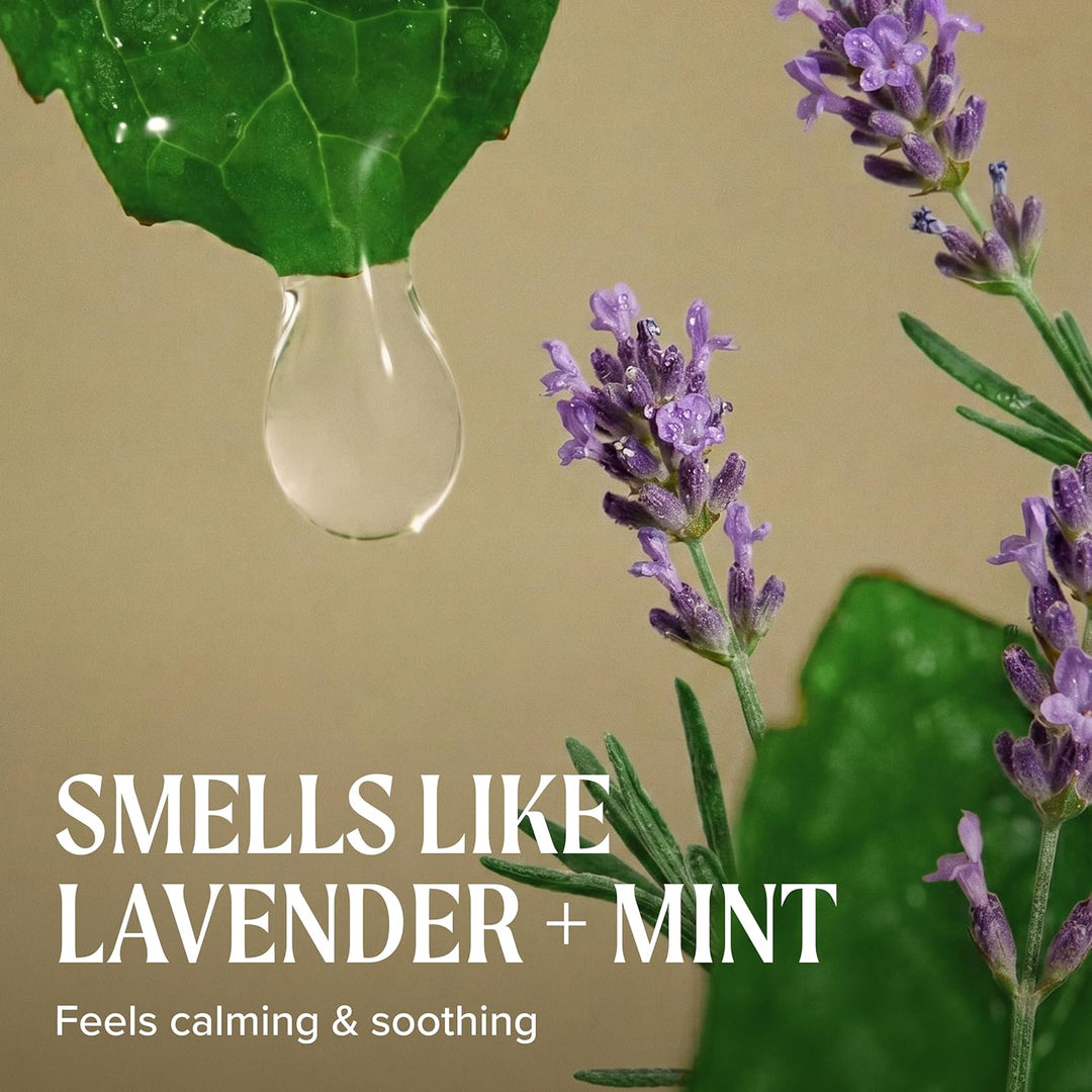 Paul Mitchell Tea Tree Lavender Mint Moisturizing Shampoo - Feuchtigkeits-Shampoo für trockenes, ges