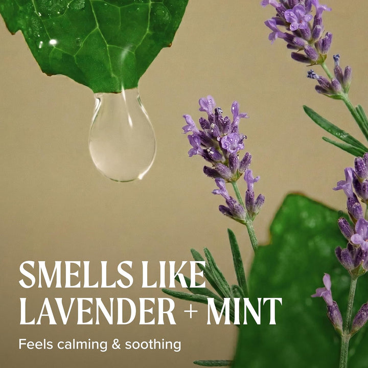 Paul Mitchell Tea Tree Lavender Mint Moisturizing CoWash - Haar-Pflege Conditioner für bessere Kämmb