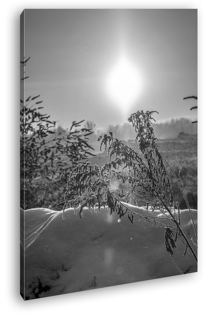 deyoli schneebedeckte Landschaft Format: 80x60 Effekt: Schwarz/Weiss als Leinwand, Motiv fertig gera
