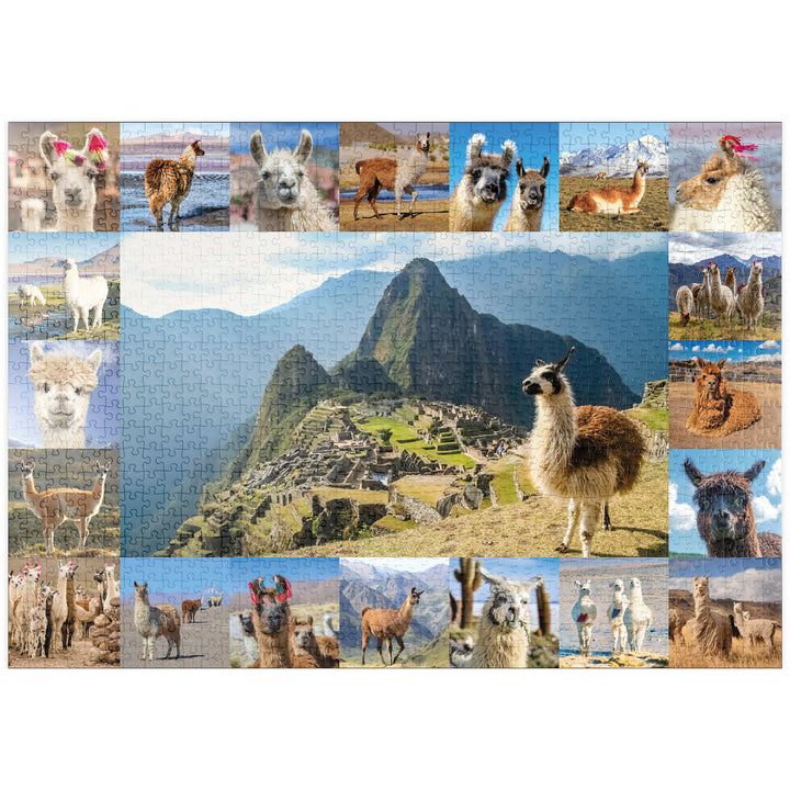 Lamas und Alpakas - Collage No. 1 - Premium 1000 Teile Puzzle - MyPuzzle Sonderkollektion von Starnb