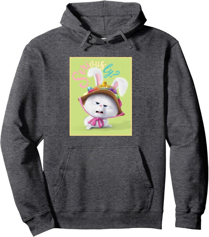 Pets 2 Ernsthaft Pullover Hoodie