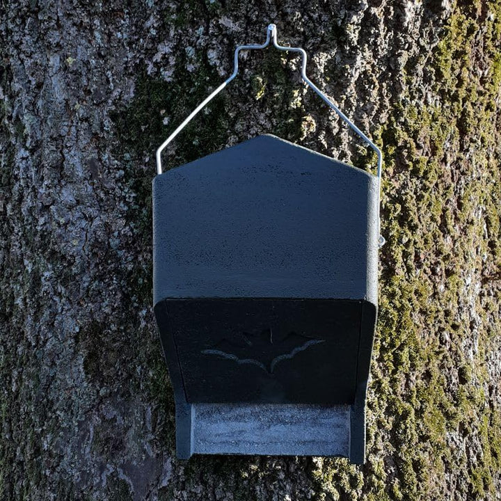 Fledermaus Grossraumkasten universal aus Holzbeton | Wetterfest | Fledermausquartier | Fledermauswoc