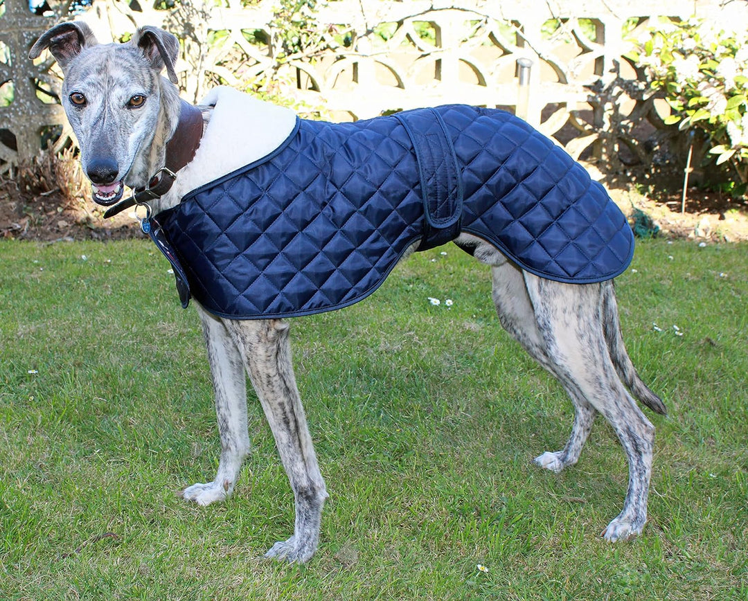 Cosipet Greyhound Anorak, Jacke für Hunde, blau blau 16-inch/41 cm, blau 16-inch/41 cm