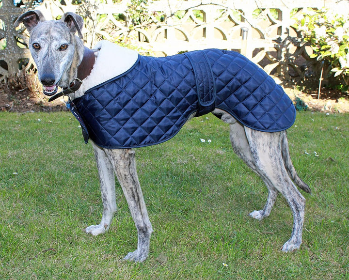 Cosipet Greyhound Anorak, Jacke für Hunde, blau blau 16-inch/41 cm, blau 16-inch/41 cm