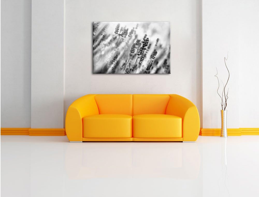 Pixxprint Monocrome, Schöner Lavendel im sanften Licht, Format: 100x70 auf Leinwand, XXL riesige Bil