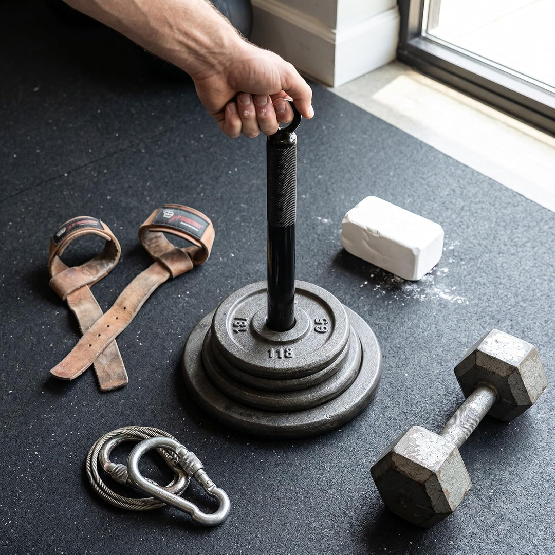 Alomejor Ladestift Fitness Barbell Slice Stützrahmen Edelstahl Freeweight Bar Ladestift Barbell Plat