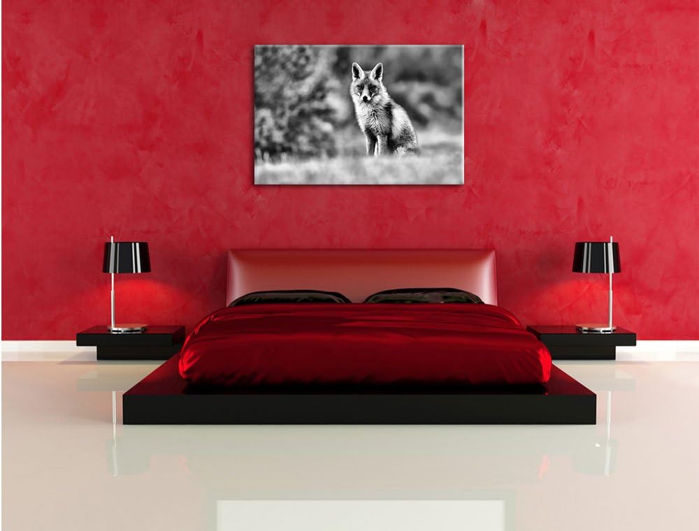 Pixxprint Listiger Fuchs als Leinwandbild/Grösse: 100x70 / Wandbild/Kunstdruck/fertig bespannt, 100x