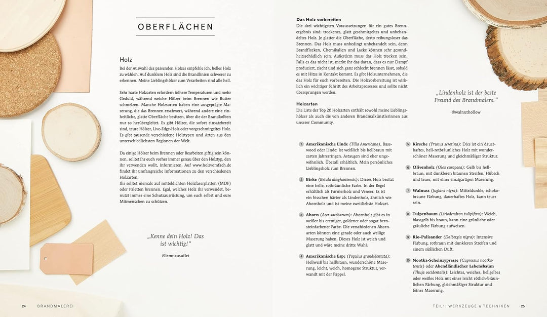 Das grosse Buch der Brandmalerei: Grundlagen, Techniken und Projekte für Anfänger und Fortgeschritte