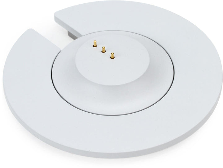 Bose Home Speaker Ladestation für tragbare Lautsprecher, Silber
