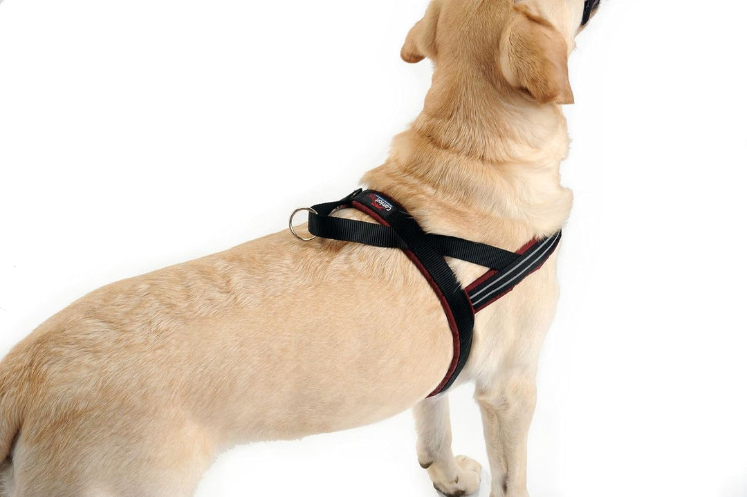 ComfortFlex Sport-Hundegeschirr, vollständig gepolstert, reflektierend, verstellbar, leicht, kein Wü