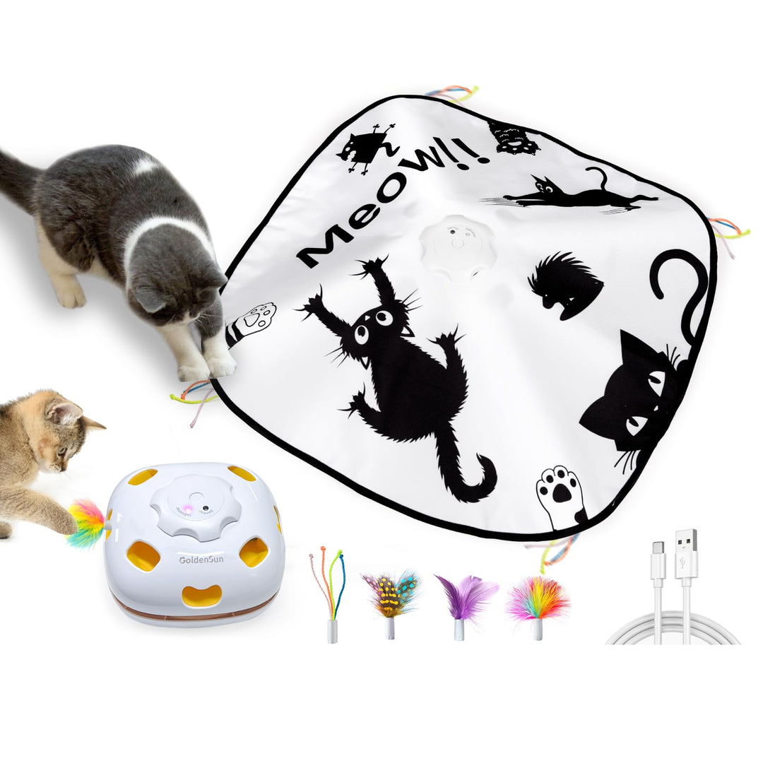 GoldenSun Katzenspielzeug, Wiederaufladbar, Interaktives 4-in-1 Kitten Spielzeug für Indoor, Verstec