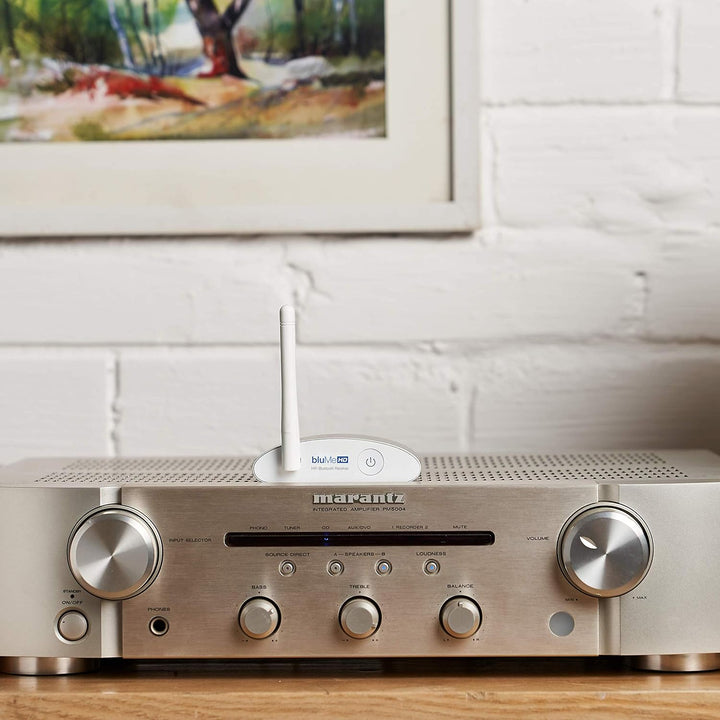 Auris Blume HD Musik 5.3 Bluetooth Receiver mit Grosser Reichweite - HiFi Wireless Audio Aux Bluetoo