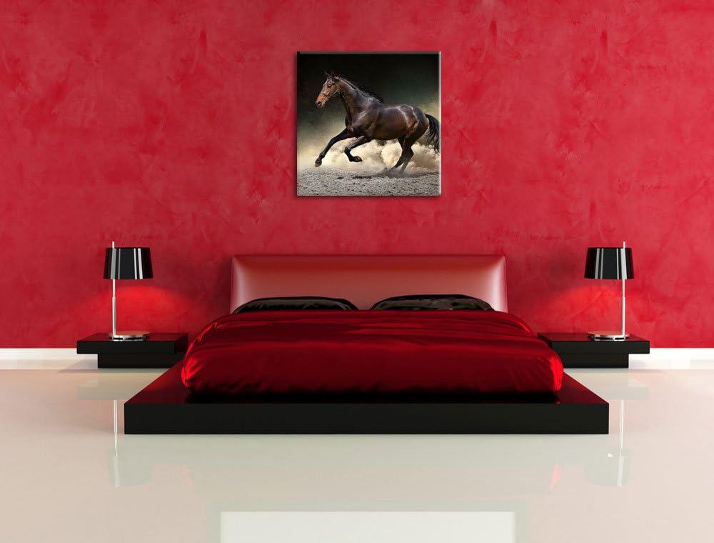 Anmutiges dunkles Pferd, Format: 70x70 auf Leinwand, XXL riesige Bilder fertig gerahmt mit Keilrahme