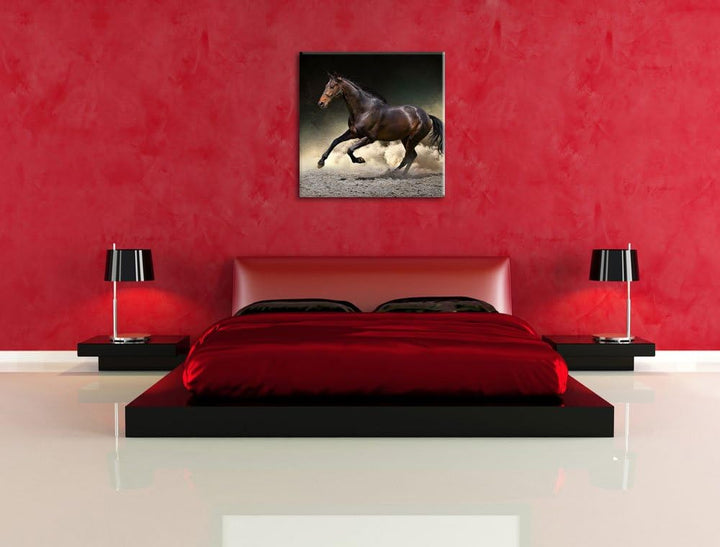 Anmutiges dunkles Pferd, Format: 70x70 auf Leinwand, XXL riesige Bilder fertig gerahmt mit Keilrahme