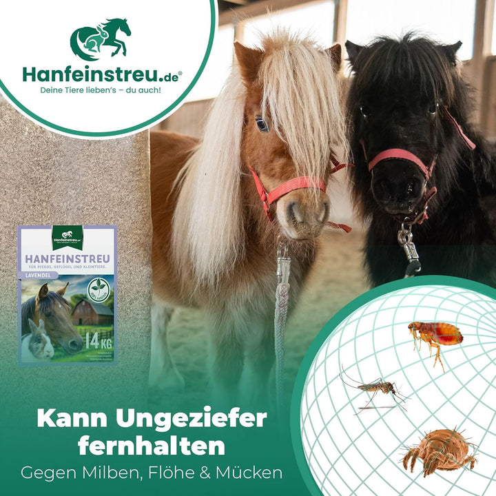 Hanfeinstreu mit Lavendel für Kleintiere, Hühner und Pferde, 30 Liter, 100% Naturprodukt, Extrem Sau