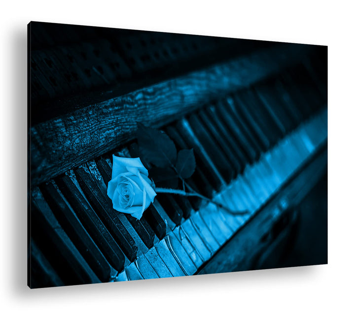 deyoli einzelne gelbe Rose auf einem sehr alten Klavier Format 80x60 Effekt: Monocrome Blau als Lein
