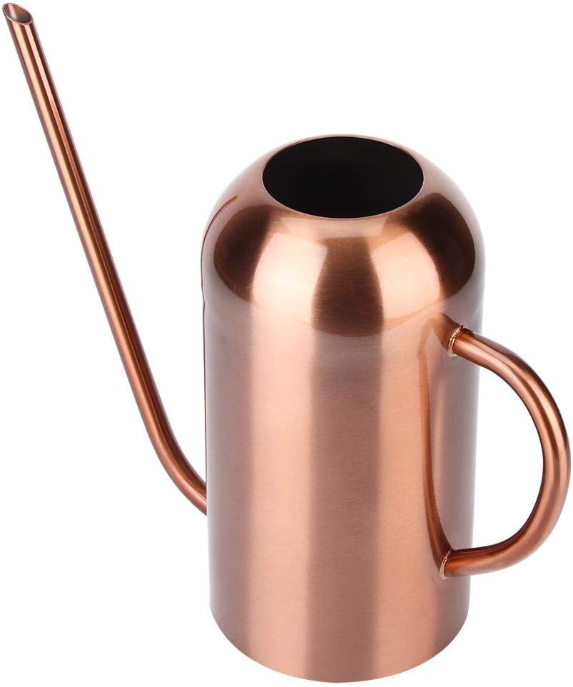 1.5l Edelstahl giesskanne Indoor für Kinder Haus Schreibtisch büro Pflanzen Bonsai streuen Topf Lang